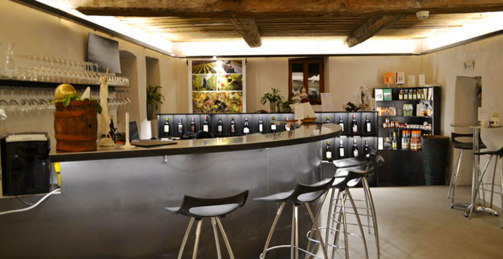 La Maison des Cornalins – Chateau de Vaas