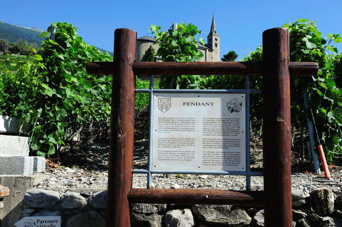Vineyards Trail in Conthey