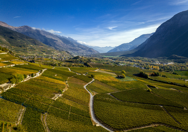Grapegrowing footpath of the Vine and Wine Museum between Sierre and Salgesch