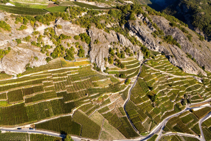 The Amigne wine path