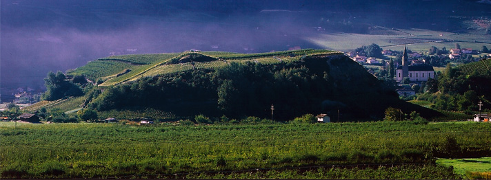 Domaine des Crêtes – J. Vocat & Fils