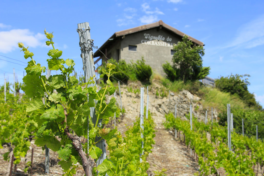 Corbassière
