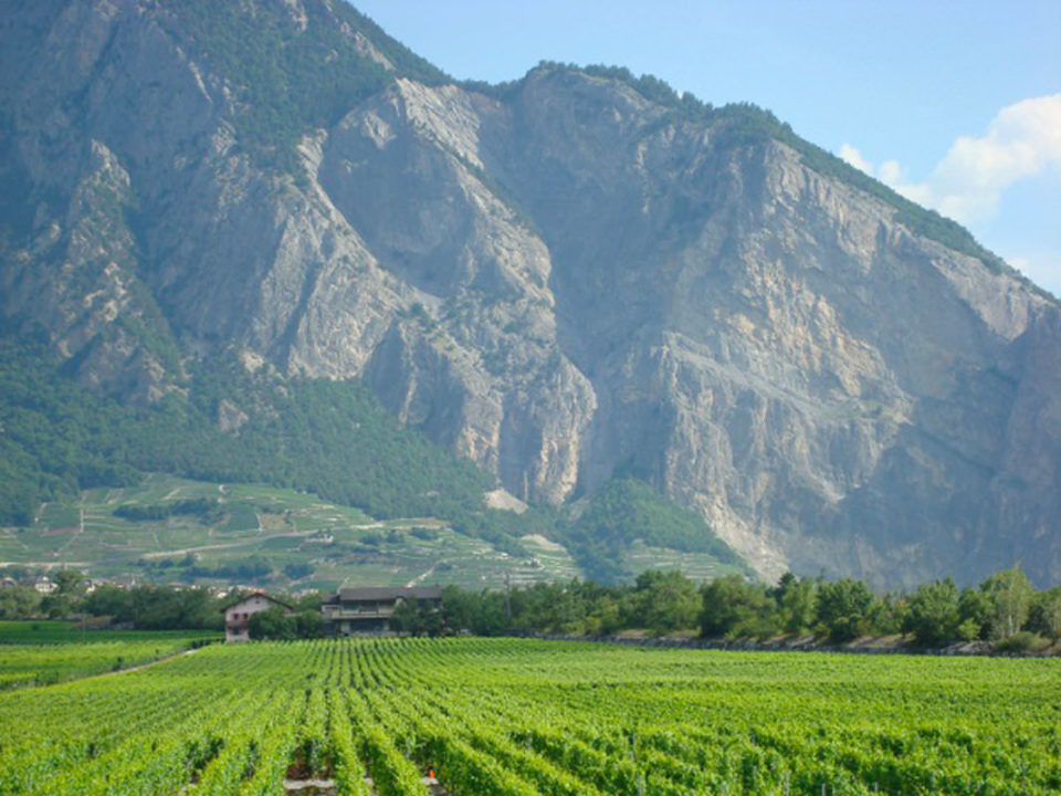 Cave de l’Etat du Valais – Domaine du Grand Brûlé