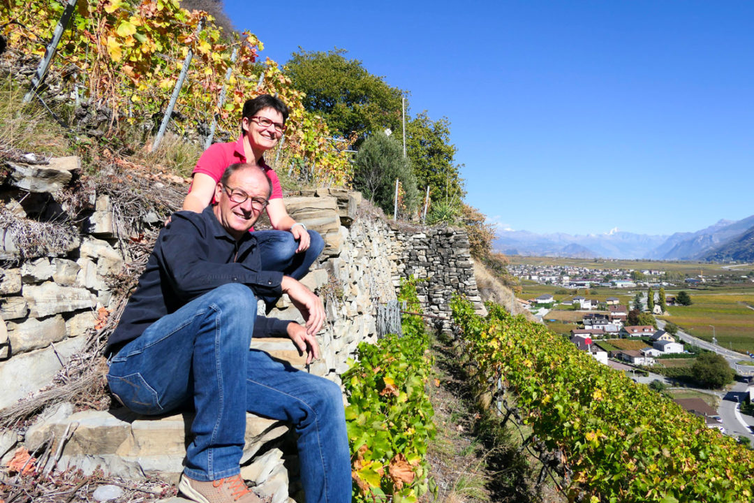 Le Bosset Vins de sens