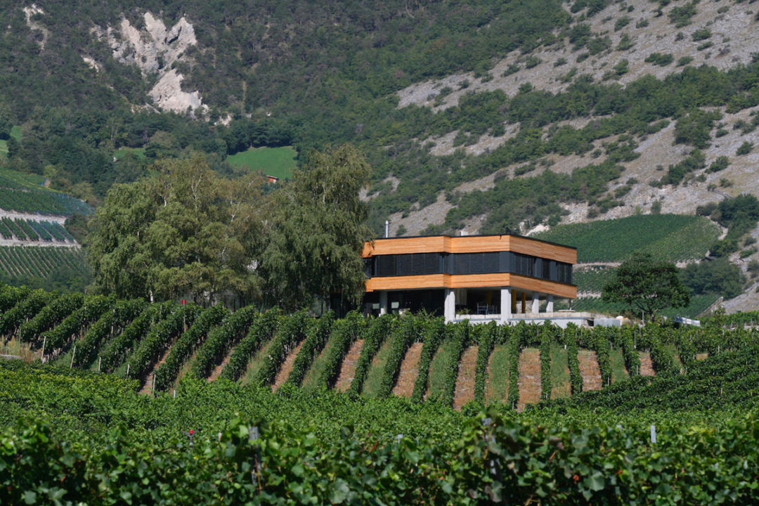 Cave Mathier & Bodenmann