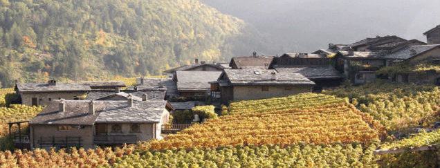 Valais Wine Tours