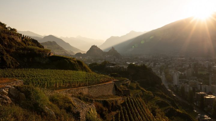 Die Ausflüge von Provins