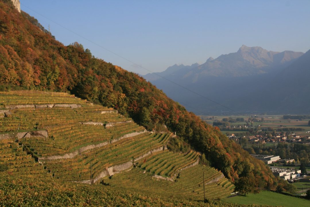 Caveau des Vignerons de Vouvry