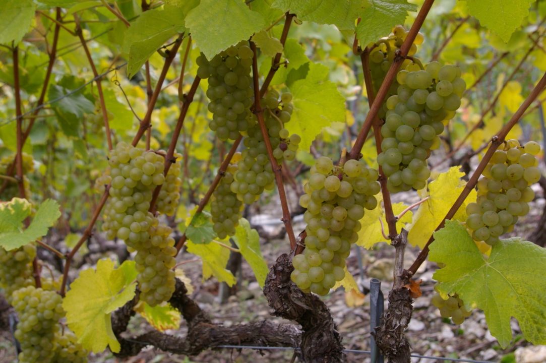 Caveau Val’Dingue