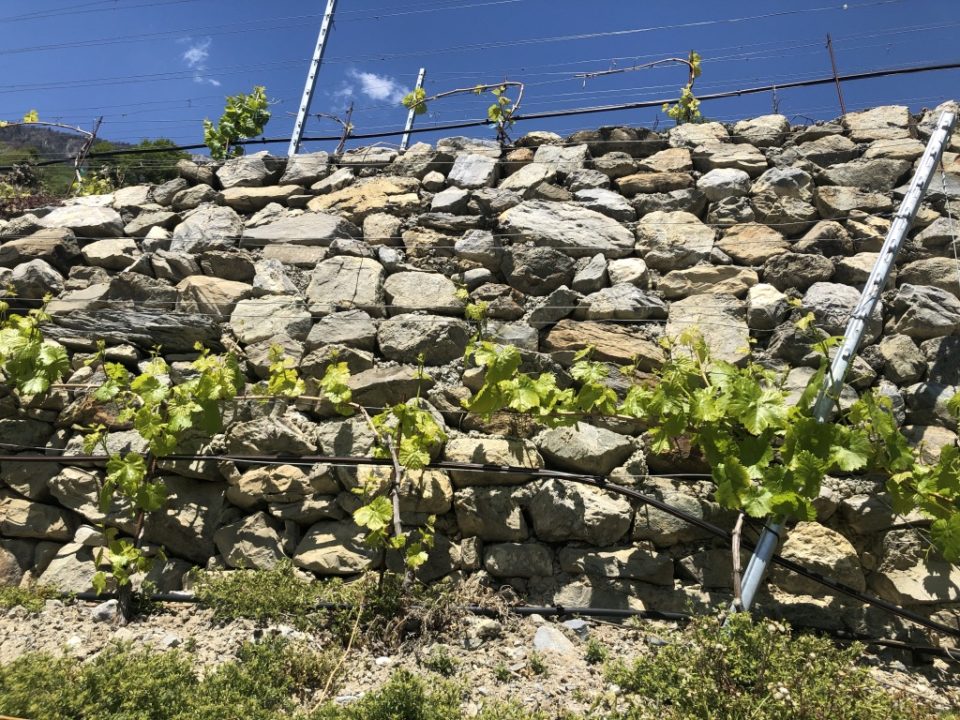 Cave des Jumeaux
